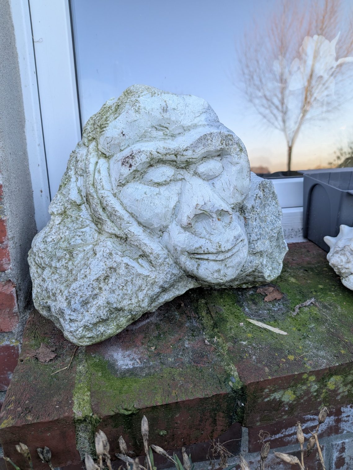 Gorillakopf
