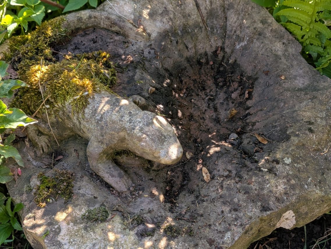 Vogeltränke Echse