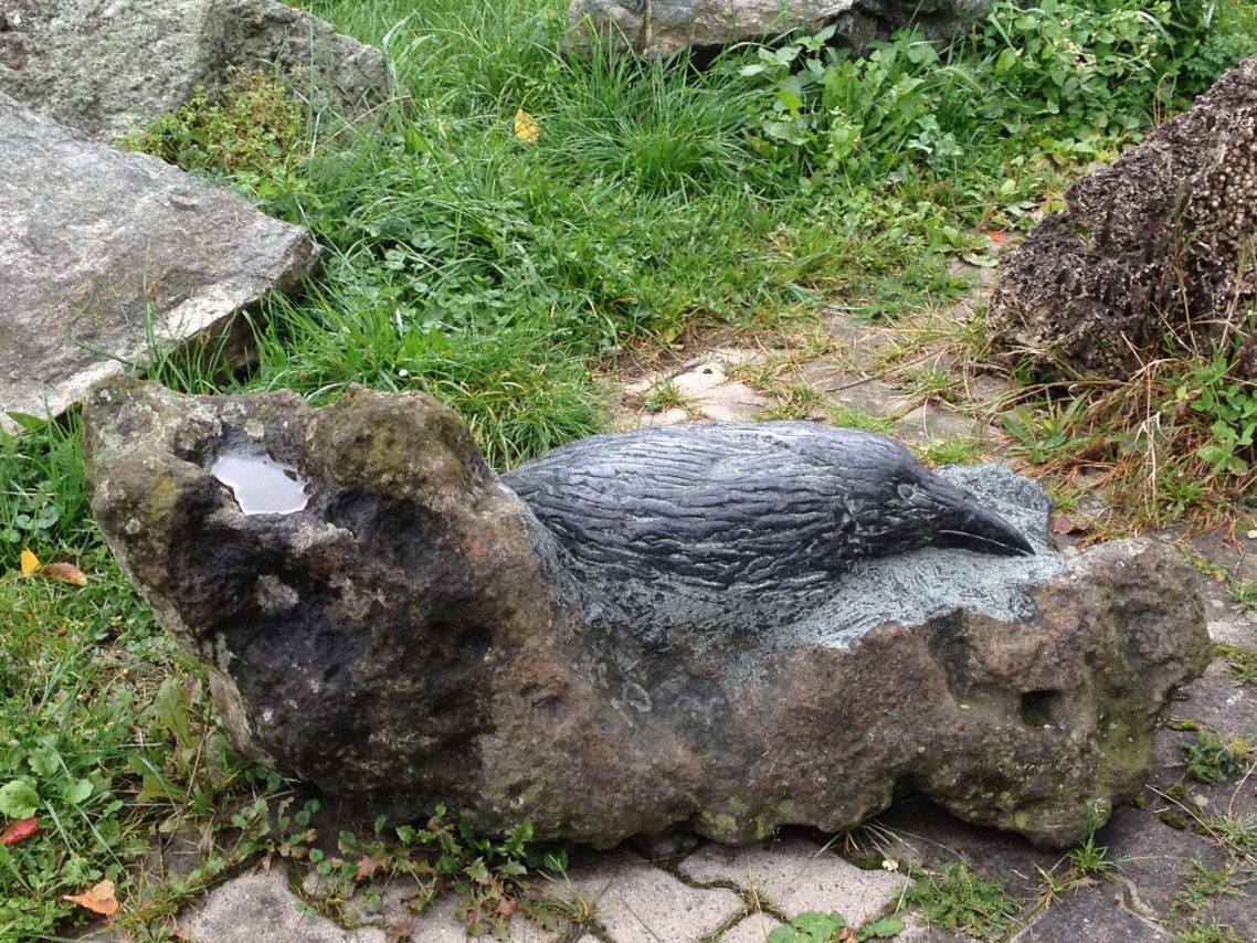 Rabenbrut