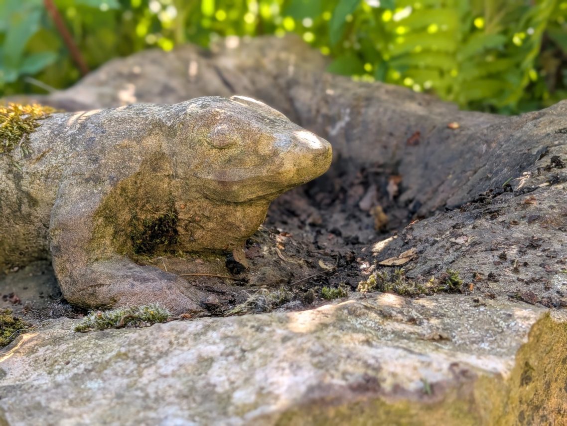 Vogeltränke Echse Profil